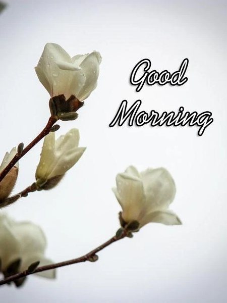 Good Morning Images - Preview 4