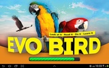 EVO BIRD screenshot 7