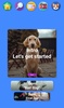 Pocket Puppy School screenshot 15