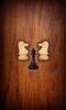 Chess Online screenshot 16