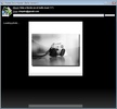 Picasa Album Downloader screenshot 2