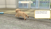 My Dog screenshot 1