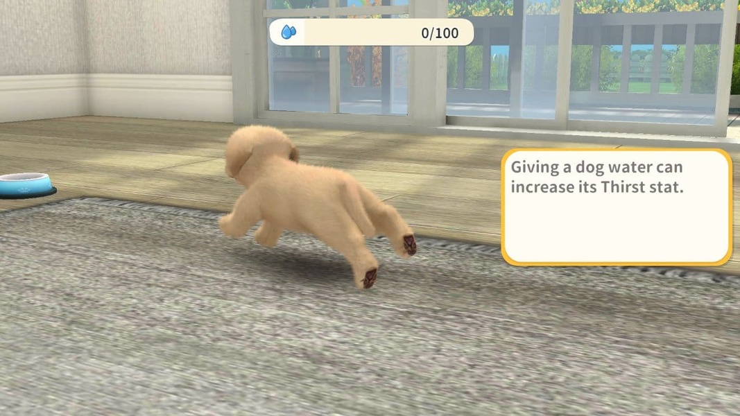 My Dog - Preview 1