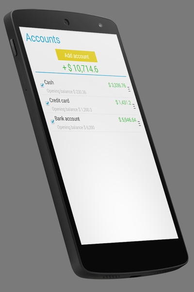 Home Budget Manager Lite - Preview 2