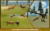 Wild African Cheetah Simulator screenshot 9