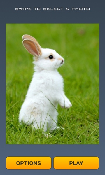 Cute Rabbits Puzzle - Preview 1
