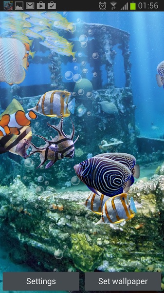 The real aquarium - HD - Preview 7