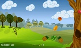 Fruit Archery screenshot 5