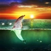Sea Dolphin Live Wallpaper screenshot 5