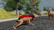 Boxer Dog Simulator screenshot 11