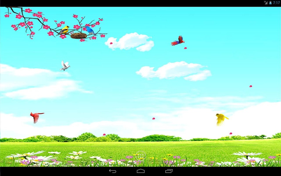 Sky Birds (free) - Preview 6