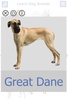 Dog Breeds Golden Retriever | Rottweiler screenshot 13