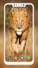 Lion Wallpapers HD screenshot 2