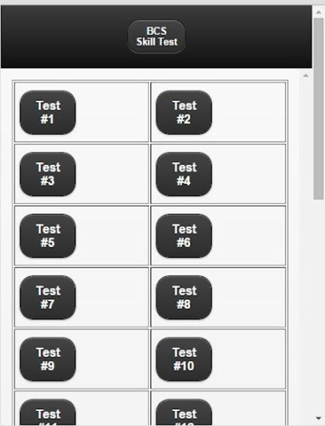 BCS Skill Test - Preview 4