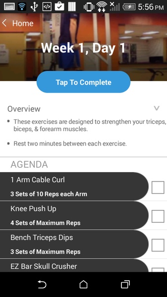 Triceps, Biceps, Forearms - Preview 3