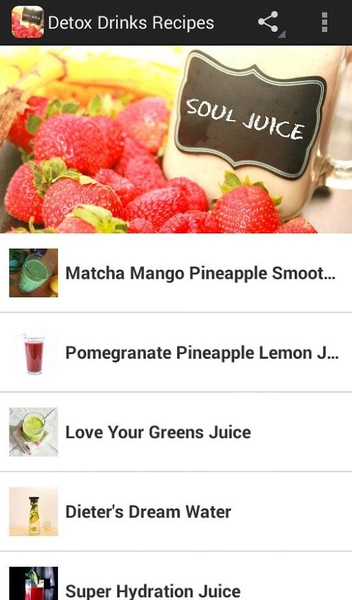 Detox Drinks Recipes - Preview 5