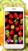 Berries and Fruits screenshot 4