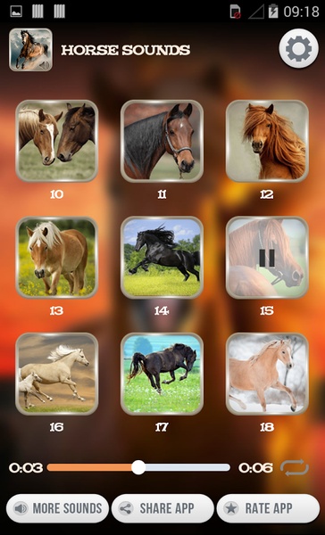 Horse Sounds - Preview 3