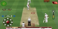 Real Cricket Test Match Edition screenshot 13