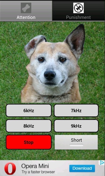 Trainer For Dog - Preview 1