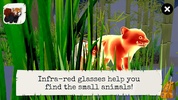 Wild Animals VR Kid Game screenshot 12