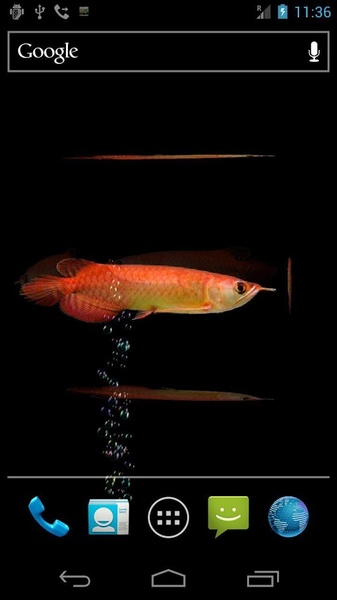 Arowana Free - Preview 4