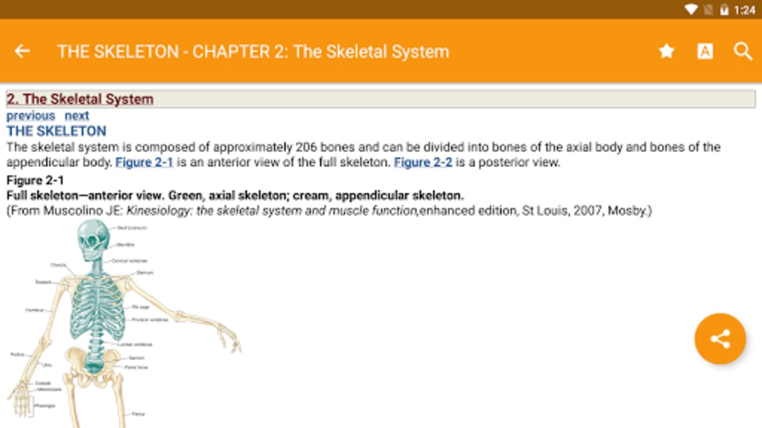 The Muscular System Manual - Preview 3
