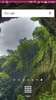 Rainforest Wallpaper screenshot 1