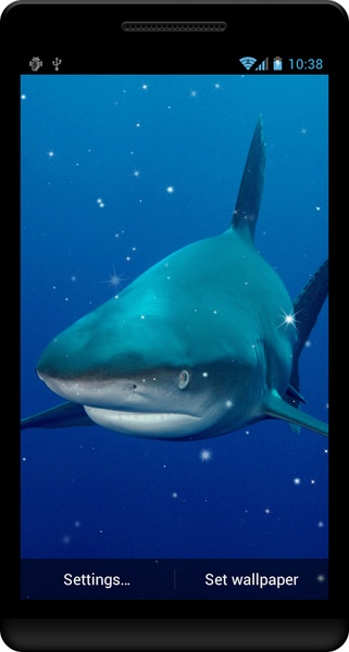 Shark Live Wallpaper - Preview 5