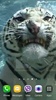 Tiger Video Live Wallpaper screenshot 11