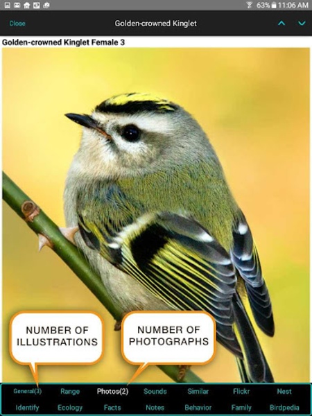 iBird Lite - Preview 6