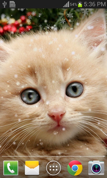 Christmas Cat live wallpaper - Preview 2