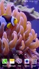 Aquarium Video Live Wallpaper screenshot 4