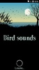 Bird Sounds screenshot 8