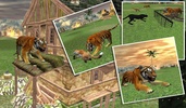 Wild Jungle Tiger Attack Sim screenshot 5