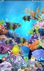 Coral Fish Live Wallpaper screenshot 4