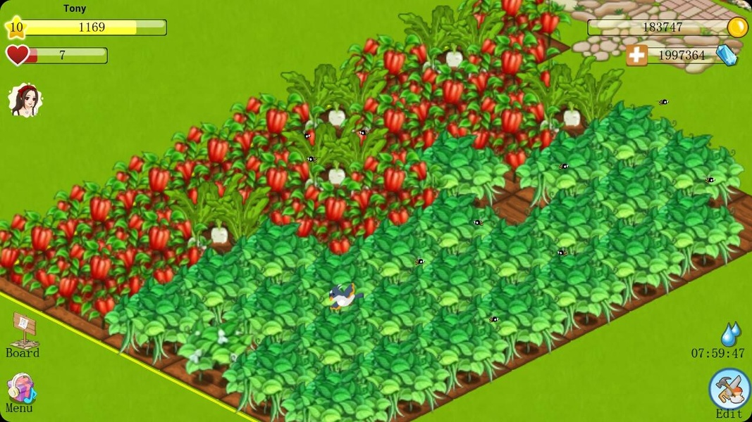 Sunny Farm - Preview 3