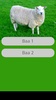 Sheep Sounds screenshot 1