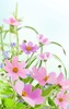 Gentle Flowers Live Wallpaper screenshot 7