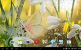 Spring Live Wallpaper screenshot 10