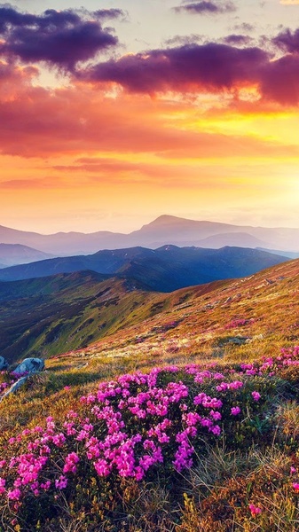 Nature Live Wallpaper - Preview 5