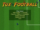 Tux Football screenshot 1