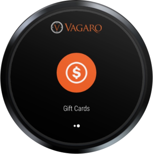 Vagaro - Preview 4