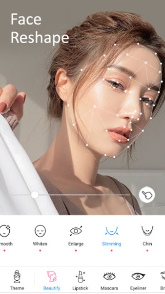 XFace - Preview 8