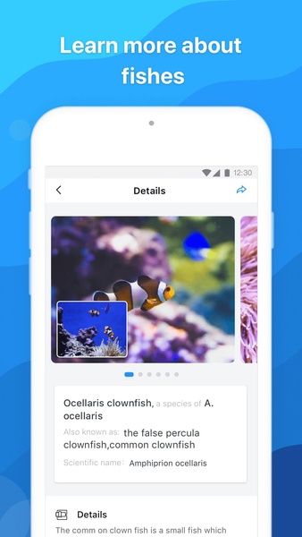 Picture Fish - Fish Identifier - Preview 2