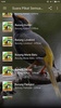Suara Pikat Semua Burung Ampuh screenshot 6