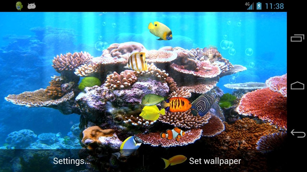 Fish Aquarium - Preview 6