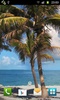 Beach Trees Live Wallpaper screenshot 1