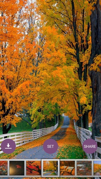 Autumn Wallpaper HD - Preview 2