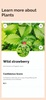 Plant Identifier: Plants screenshot 4